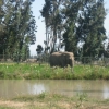 Galería de imágenes: La nueva vida de la Elefanta Ramba
